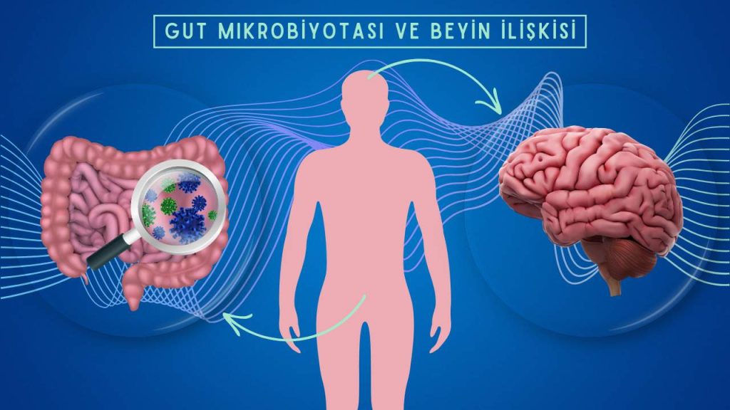 Mikrobiyota ve İkinci Beyin: Bağırsak Sağlığının Psikoloji Üzerindeki Etkisi