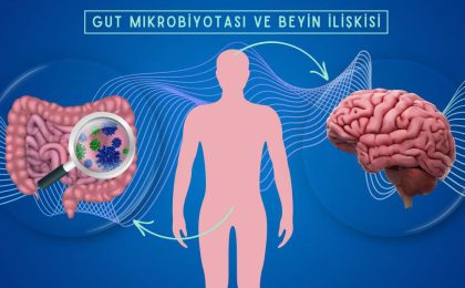 Mikrobiyota ve İkinci Beyin: Bağırsak Sağlığının Psikoloji Üzerindeki Etkisi