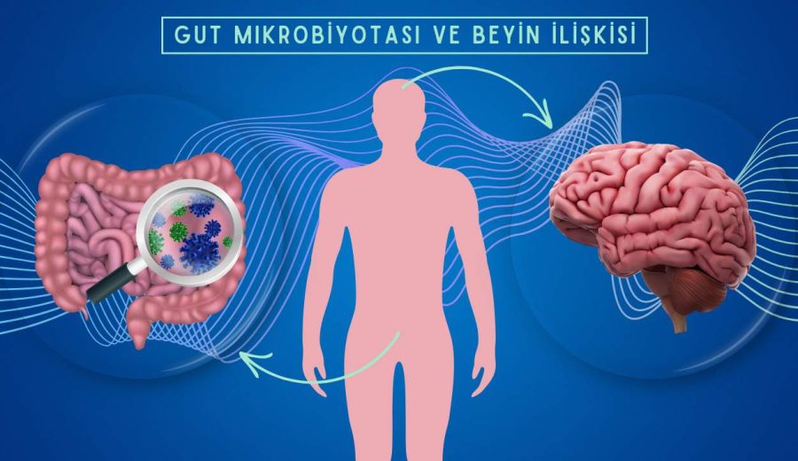 Mikrobiyota ve İkinci Beyin: Bağırsak Sağlığının Psikoloji Üzerindeki Etkisi